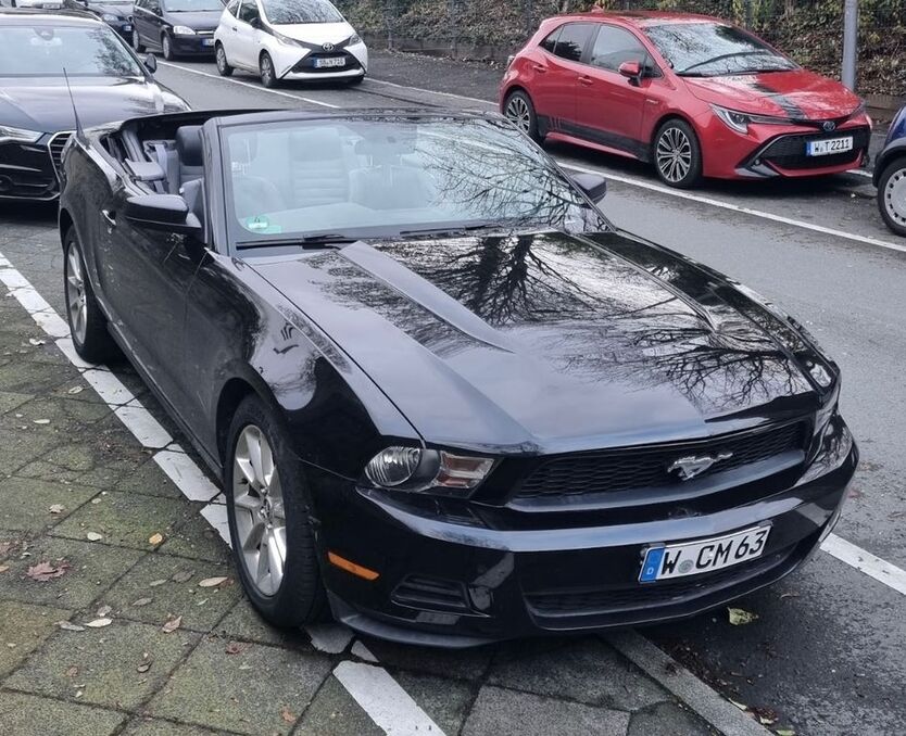 Mustang