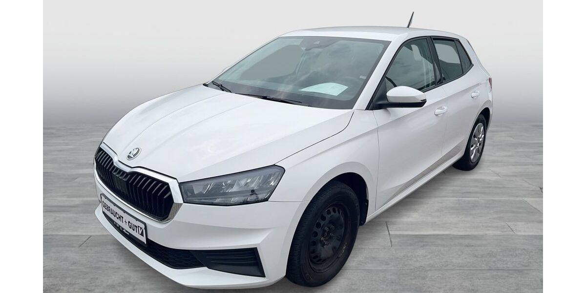 Skoda Fabia 96.019 km 11.350 &euro; Duisburg 47178