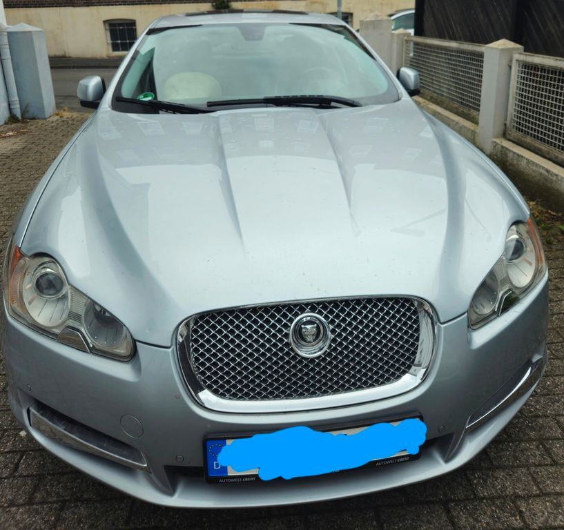 XF