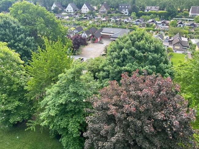 Wohnung zum Kaufen in Duisburg 75.000 € 51.32 m² 2 zimmer