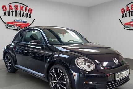 VW Beetle
