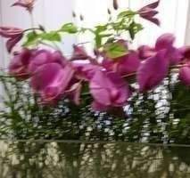 Wohnung Düsseldorf Rath - 3 Zimmer, 92 m&sup2;, 1.250&euro; | Angebot:24656930