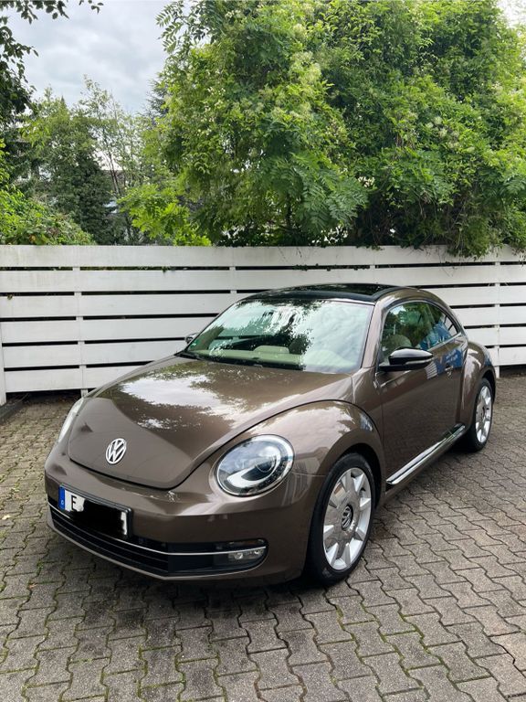 Beetle