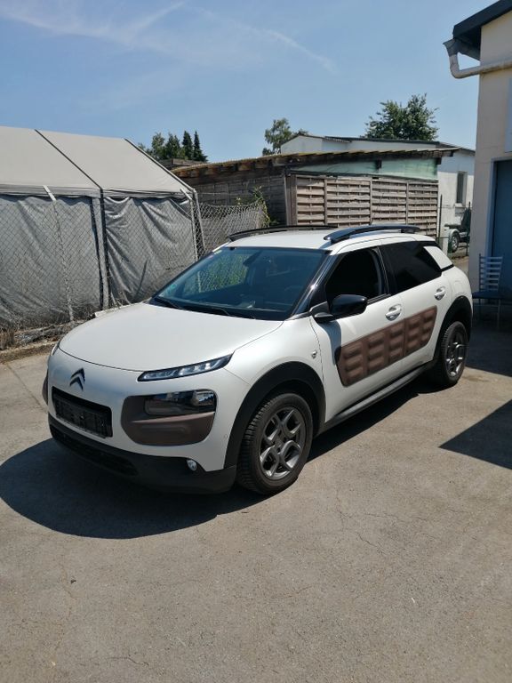 C4 Cactus