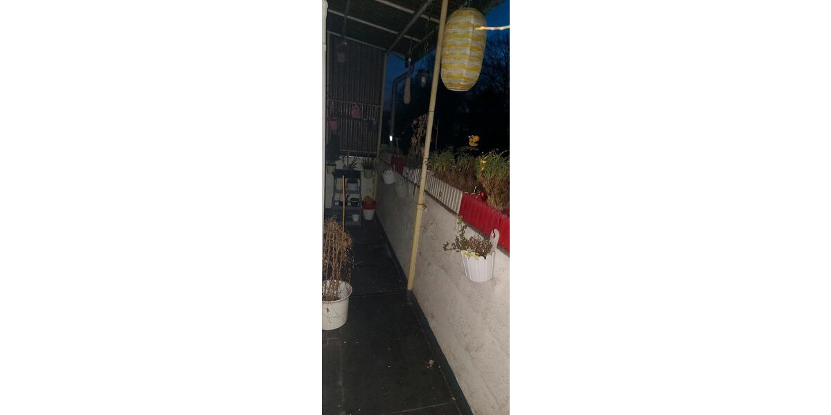 2 Zimmer Wohnung 2 zimmer