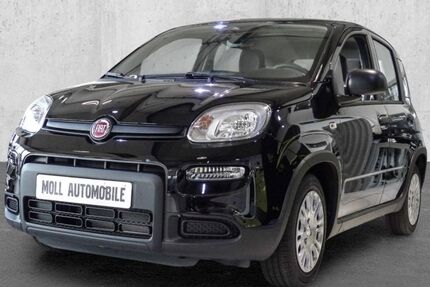 Fiat Panda 5.990 km 14.450 € Köln 51149