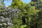 Bungalow Willich Anrath - 3 Zimmer, 130 m&sup2;, 407.000&euro; | Angebot:26853063