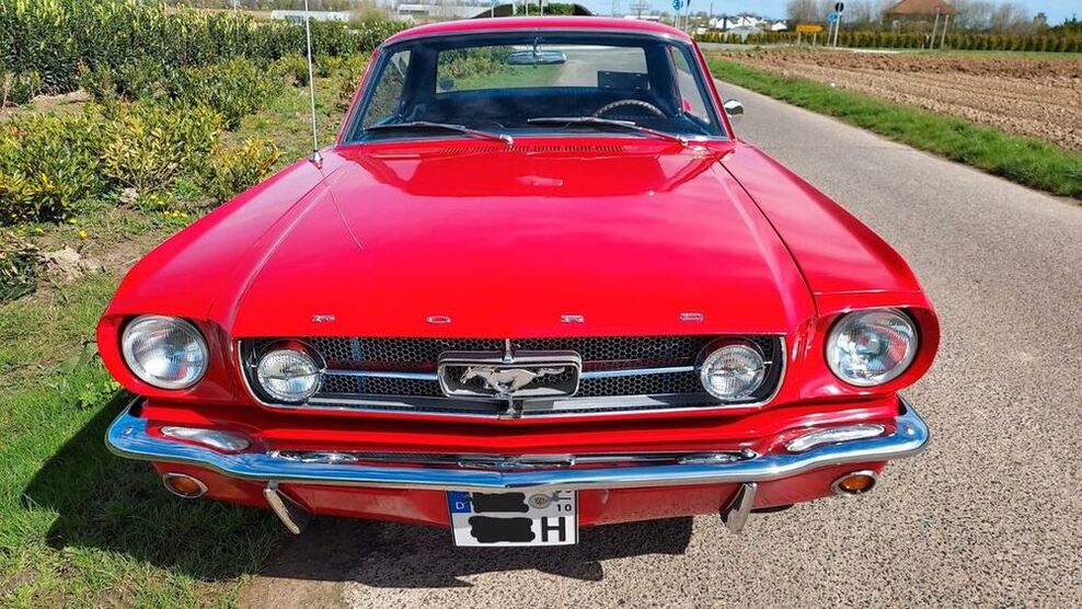 Mustang