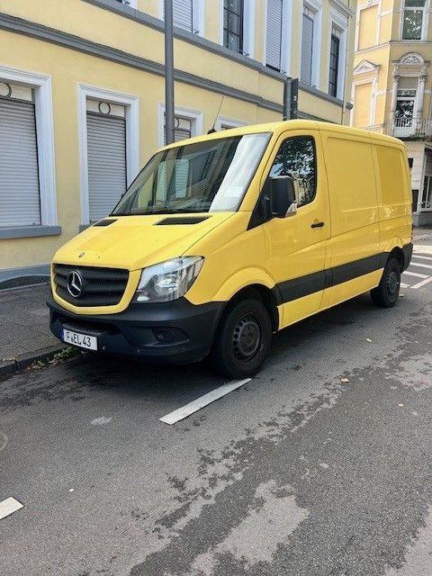 Sprinter