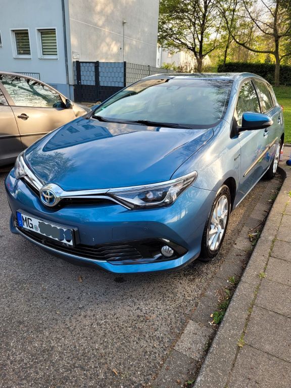Auris