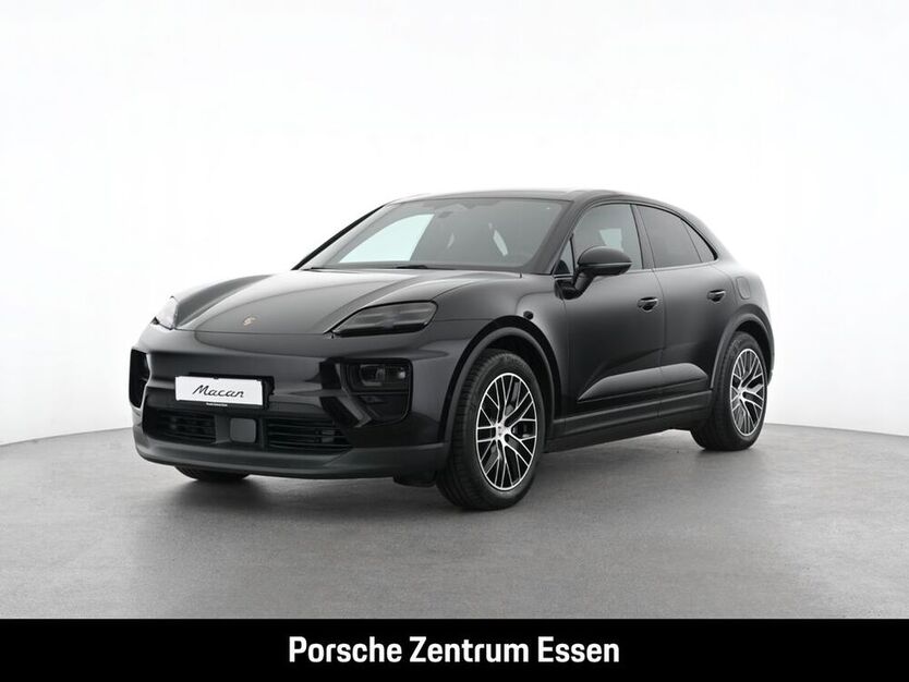 Macan