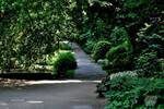 2-Zimmer-TraumWohnung in Solingen-Wald! Ideal für Paare & Singles