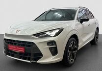 Gebrauchtwagen Cupra Terramar