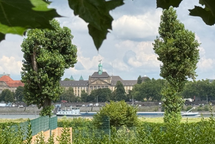 Haus Düsseldorf Niederkassel - 11 Zimmer, 565 m&sup2;, 5.300.000&euro; | Angebot:26959610