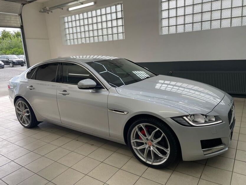 XF