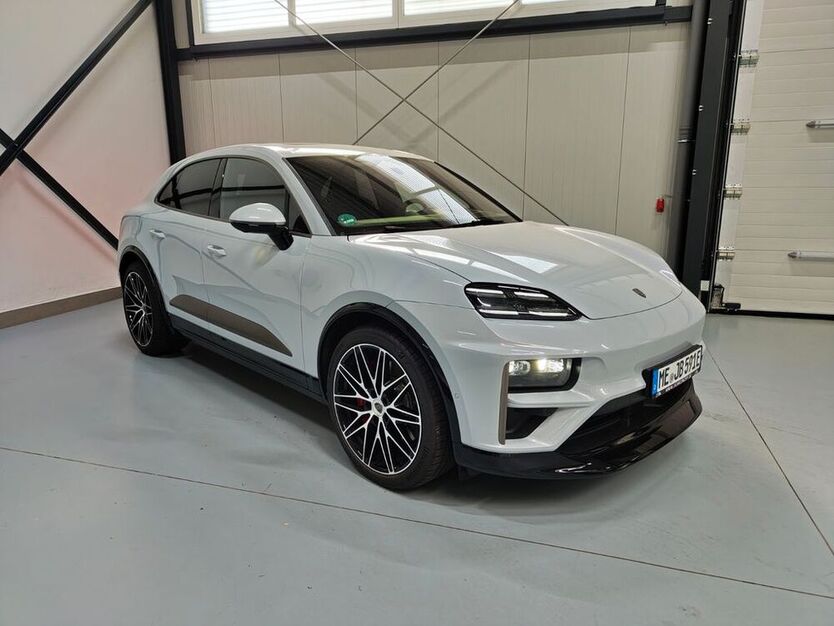 Macan