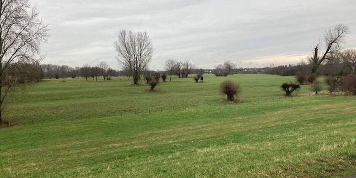 3-Zi. Wohnung in Düsseldorf-Kaiserswerth mit TG Platz zur Eigennutzung oder Vermietung 3 zimmer