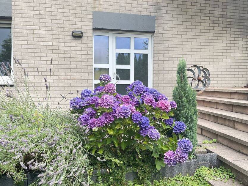 202518.1 Idyllisches Wohnen mit Garten im citynahen Grünen in stilvollem Familienhaus