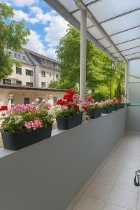 ERDGESCHOSS, SOFORT VERFÜGBAR & GARTENNUTZUNG 3 zimmer