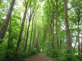 Ferienimmobilie Düsseldorf - 99&euro; | Angebot:26096283