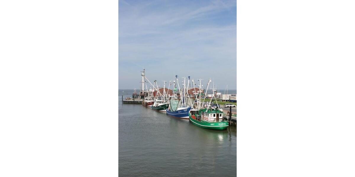 Ferienimmobilie Dormagen Broich - 59&euro; | Angebot:25945794