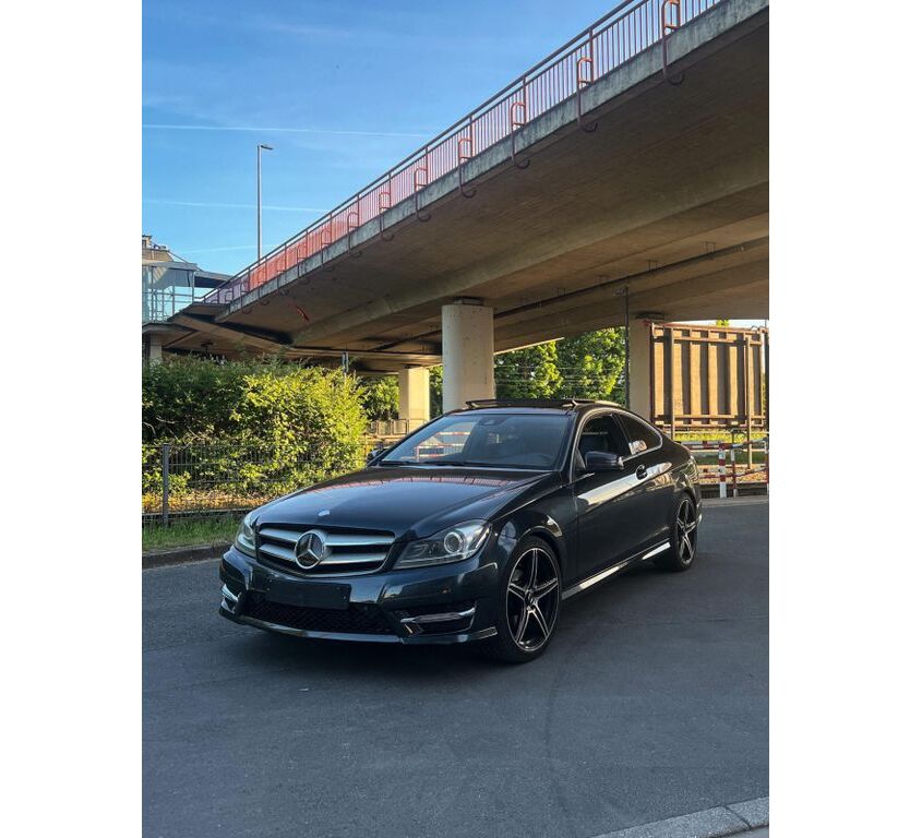 C 250