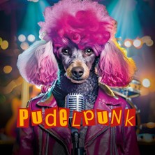 Pudelpunk Song Contest - Theater Krefeld und Mönchengladbach