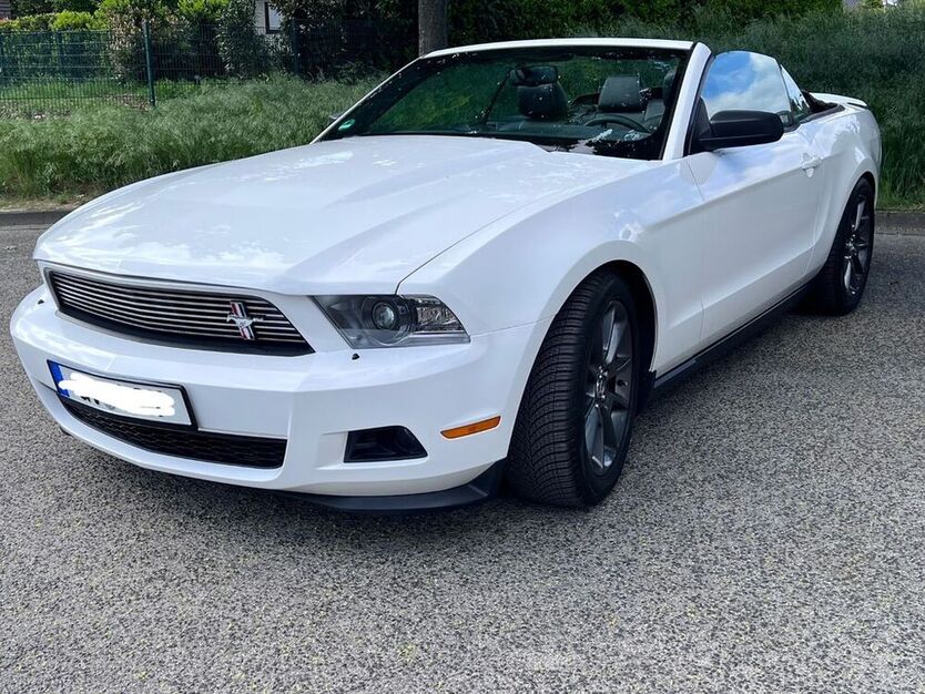 Mustang