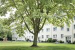 Erdgeschoßwohnung Mönchengladbach Nord - 2 Zimmer, 60 m&sup2;, 639&euro; | Angebot:25416407