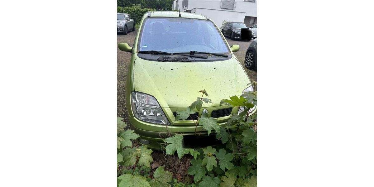 Renault Scenic 204.141 km 699 &euro; Mönchengladbach 41179