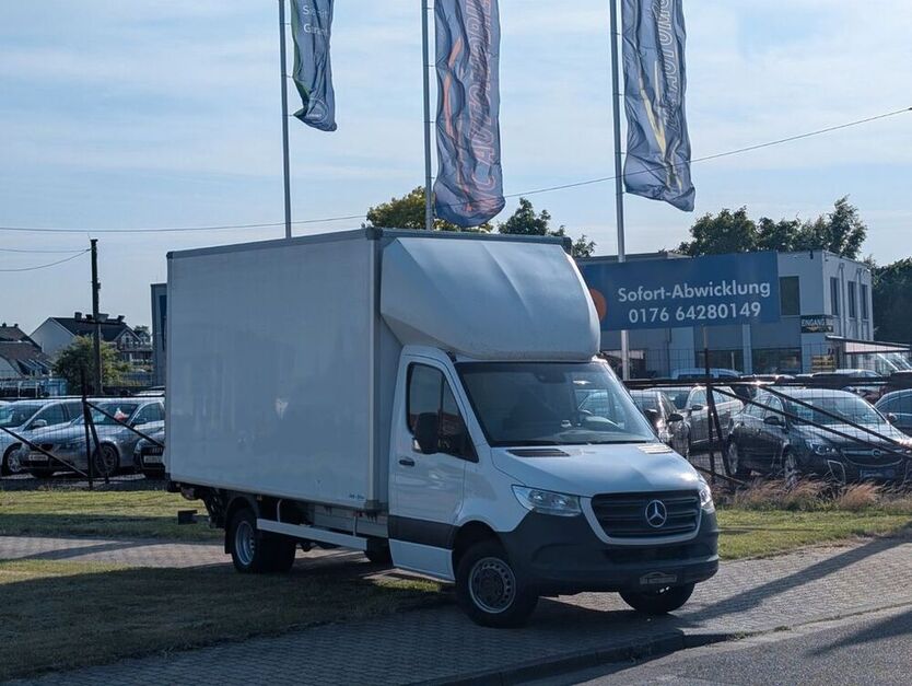 Sprinter