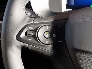 Opel Corsa e GS Matrix SHZ LHZ Kam Navi 6.298 km 34.990 &euro; HAAN 42781