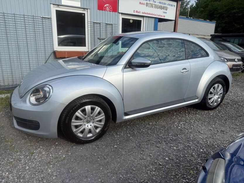 Beetle