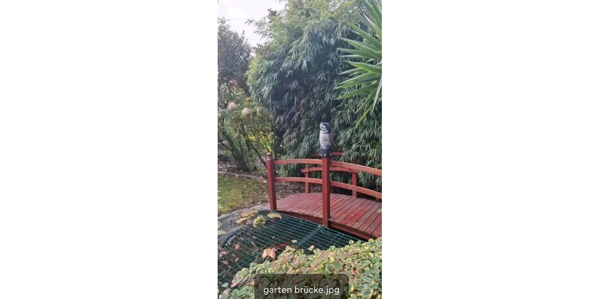 Reihenhaus Neuss Holzheim - 4 Zimmer, 169 m&sup2;, 575.000&euro; | Angebot:24846901