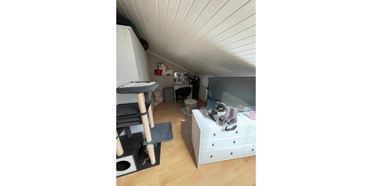 Dachgeschoßwohnung Korschenbroich - 2 Zimmer, 71 m&sup2;, 550&euro; | Angebot:26413501