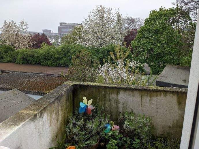 Etagenwohnung Duisburg Altstadt - 3 Zimmer, 76 m&sup2;, 550&euro; | Angebot:25668629