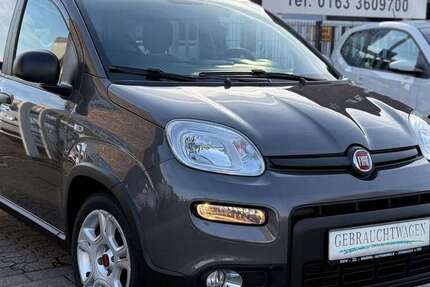 Fiat Panda 30.000 km 10.890 &euro; Dormagen 41539