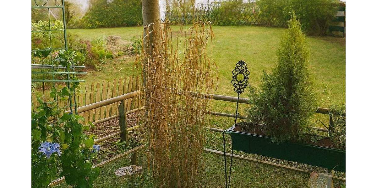 Etagenwohnung Solingen Gräfrath - 3 Zimmer, 85 m&sup2;, 283.000&euro; | Angebot:23952678