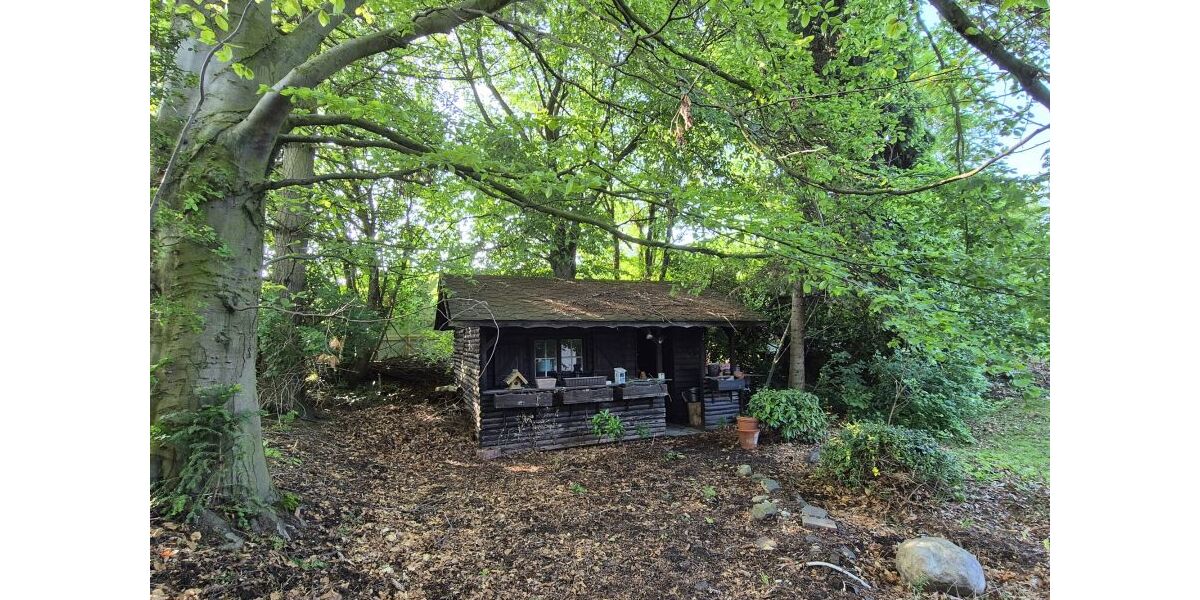 Provisionsfrei* Großer Winkelbungalow auf großzügigem Grundstück - Bungalow Korschenbroich Kleinenbroich | Angebot:25802988