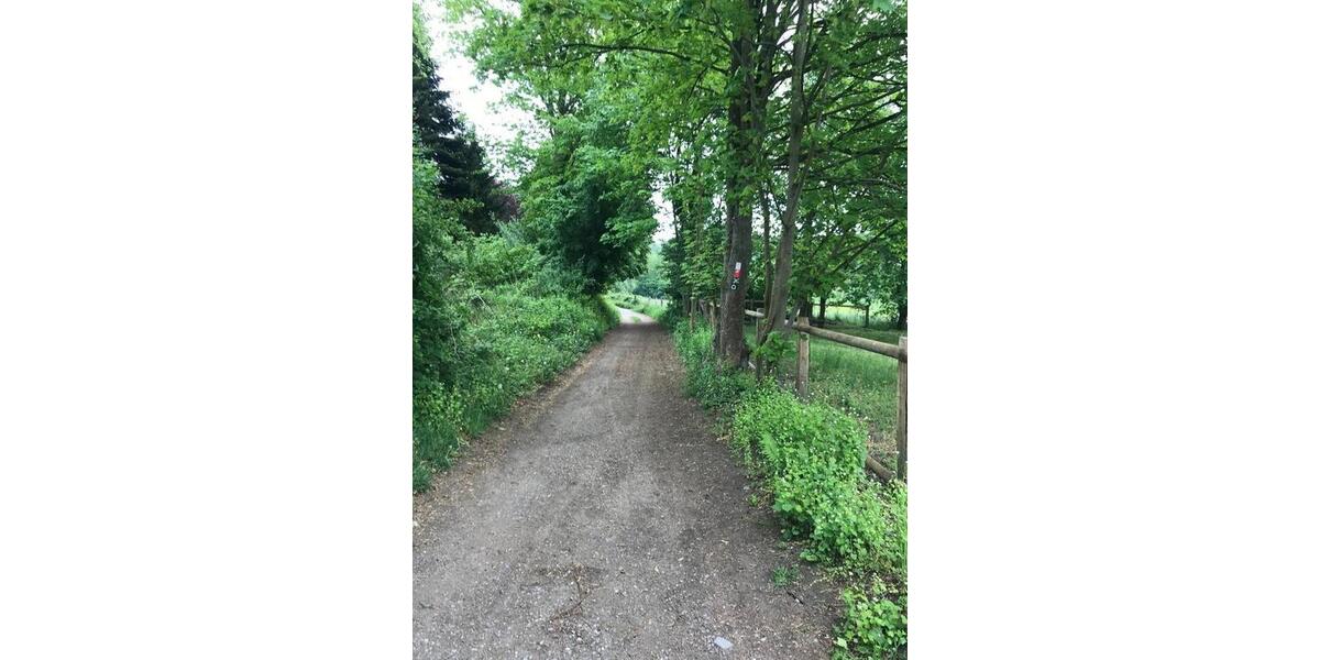 Exklusiv Wohnen 2.5 zimmer