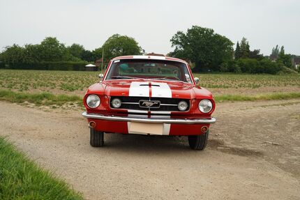 Ford Mustang 108.000 km 65.555 &euro; Viersen 41748