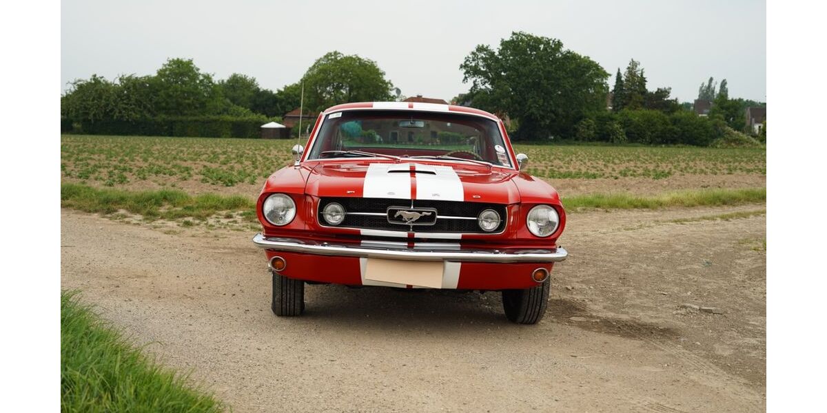 Ford Mustang 108.000 km 65.555 &euro; Viersen 41748