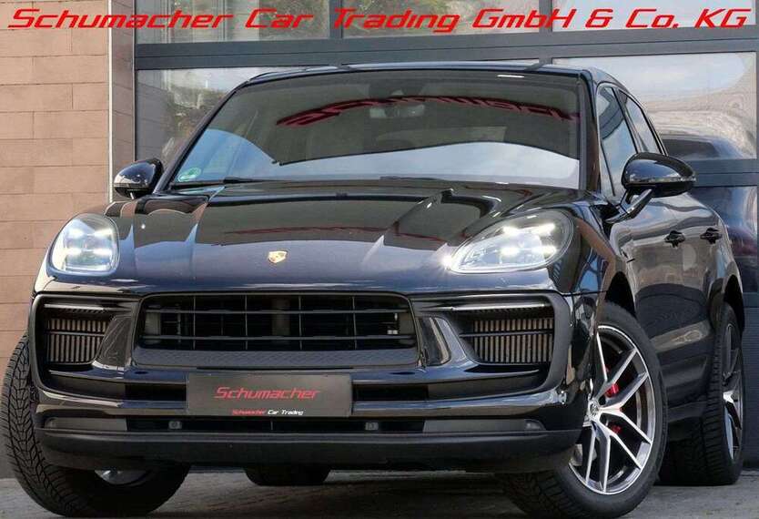 Macan