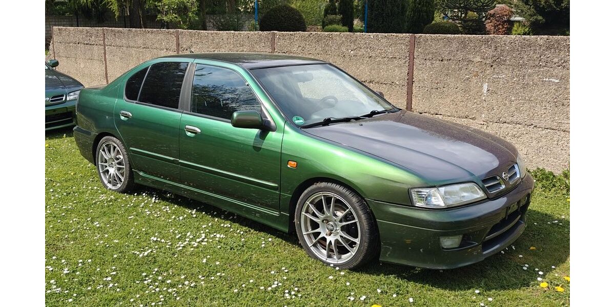 Nissan Primera 231.000 km 5.900 &euro; Duisburg 47198