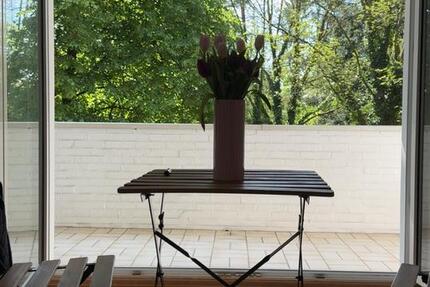 Wohnung in Solingen zu vermieten 1 zimmer