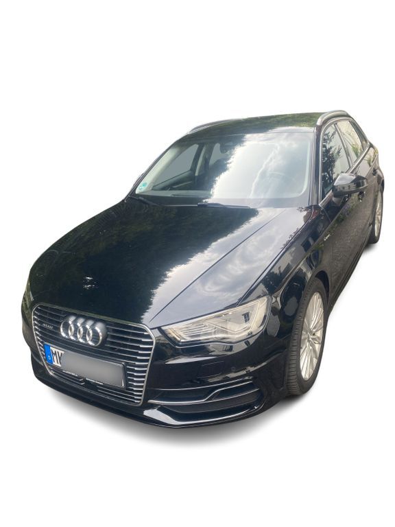 A3