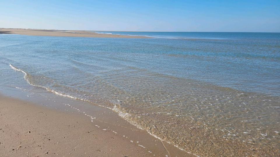 Ferienimmobilie Düsseldorf Heerdt - 85&euro; | Angebot:25403068