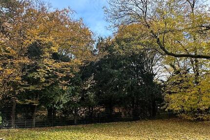 Schöne Wohnung direkt gegenüber an der Uni-Düsseldorf 3 zimmer