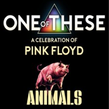 One Of These – A celebration of Pink Floyd / Animals Tour 24.09.2026 Pitcher