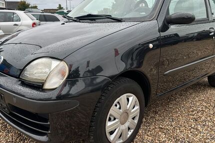 Fiat Seicento 114.900 km 1.750 € Leverkusen 51371